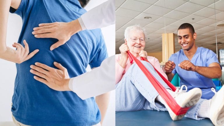 Chiropractor Vs Physical Therapist: What's The Difference?