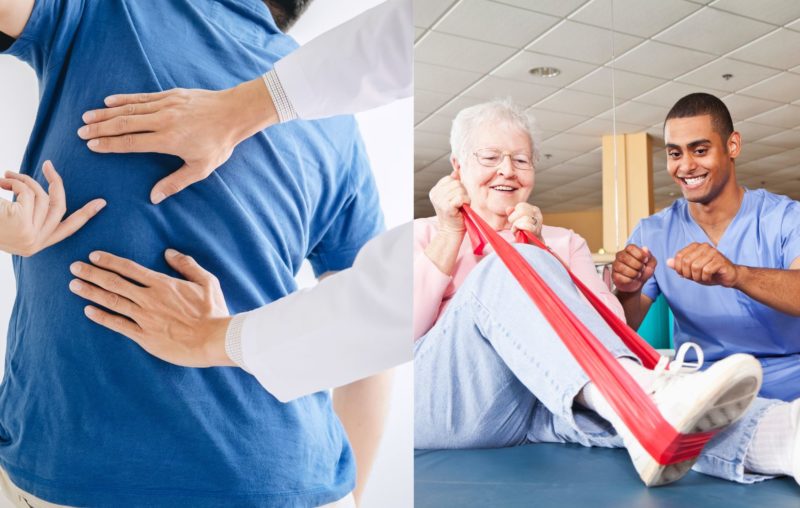 Chiropractor vs. Physical Therapist: Which One Is Right for You?